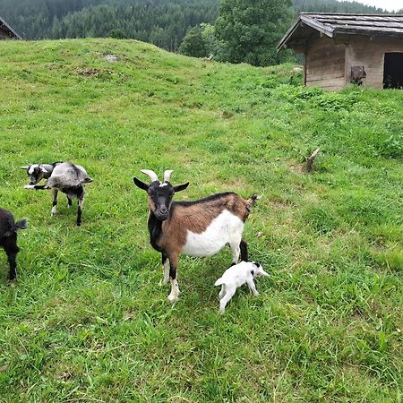Pension Stammerhof Schladming Εξωτερικό φωτογραφία