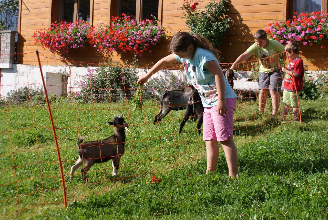 Pension Stammerhof Schladming Εξωτερικό φωτογραφία